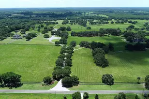 6800A NW 193rd St, Micanopy, FL 32667 - Photo 2