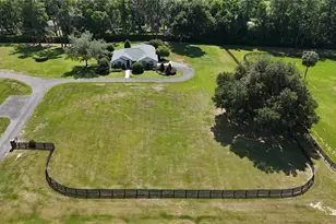 6800A NW 193rd St, Micanopy, FL 32667 - Photo 22