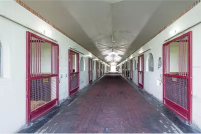 6500 SE 193rd Street, Micanopy, FL 32667 - Photo 34