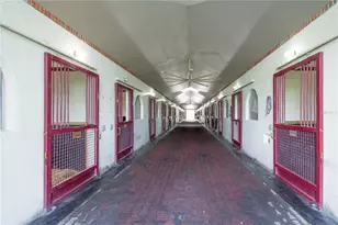 6500 SE 193rd St, Micanopy, FL 32667 - Photo 34