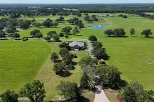 6500 SE 193rd St, Micanopy, FL 32667 - Photo 4