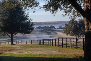 6500 & 6800 NW 193rd St, Micanopy, FL 32667 - Photo 24