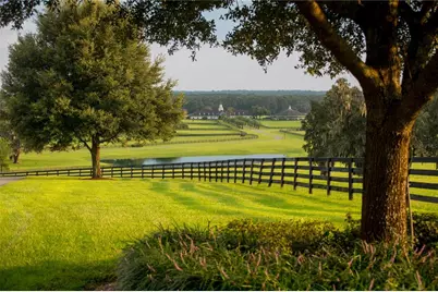 6500 & 6800 NW 193rd Street, Micanopy, FL 32667 - Photo 22
