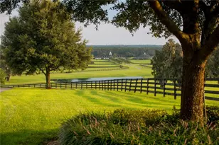 6500 & 6800 NW 193rd St, Micanopy, FL 32667 - Photo 22