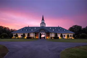 6500 & 6800 NW 193rd St, Micanopy, FL 32667 - Photo 38