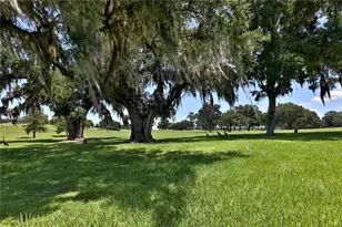 6500 & 6800 NW 193rd St, Micanopy, FL 32667 - Photo 48