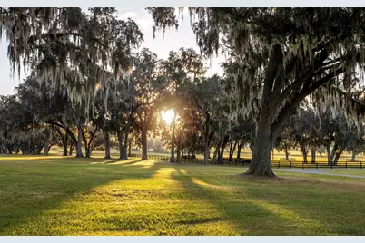 6500 & 6800 NW 193rd Street, Micanopy, FL 32667 - Photo 50