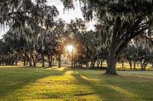 6500 & 6800 NW 193rd St, Micanopy, FL 32667 - Photo 50