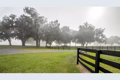 6500 & 6800 NW 193rd Street, Micanopy, FL 32667 - Photo 52
