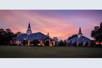 6500 & 6800 NW 193rd Street, Micanopy, FL 32667 - Photo 34