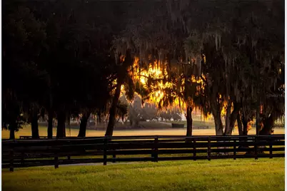 6500 & 6800 NW 193rd Street, Micanopy, FL 32667 - Photo 54