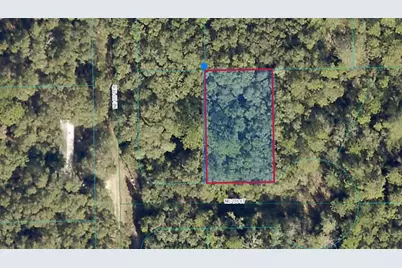 00 NE 239th Street, Fort Mc Coy, FL 32134 - Photo 1