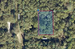 00 NE 239th St, Fort Mc Coy, FL 32134 - Photo 1