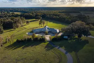 9001 NW 200th Street Rd, Micanopy, FL 32667 - Photo 14