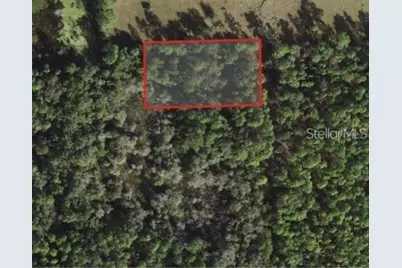 5230 N Whetstone Point, Crystal River, FL 34428 - Photo 1