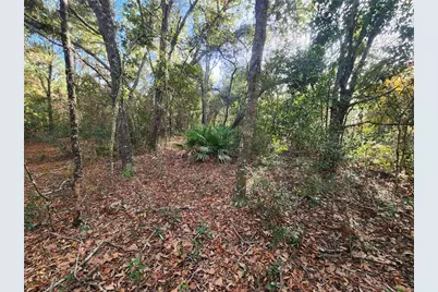 2176 W Conway Drive, Citrus Springs, FL 34434 - Photo 8