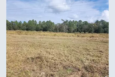 Se Maricamp Road, Ocala, FL 34472 - Photo 2