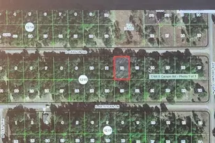 1746 E Carson Rd, Citrus Springs, FL 34434 - Photo 1