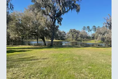 Tbd NW 160th Street, Reddick, FL 32686 - Photo 2