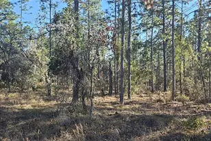 Lot 13 NW Water Oak Ave, Dunnellon, FL 34431 - Photo 1