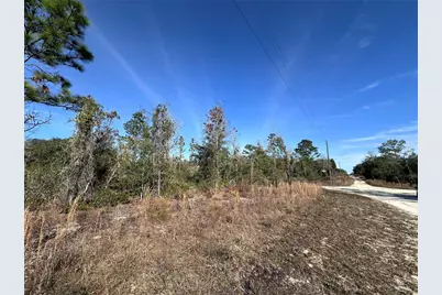 Tbd NE 117th Terrace, Williston, FL 32696 - Photo 2