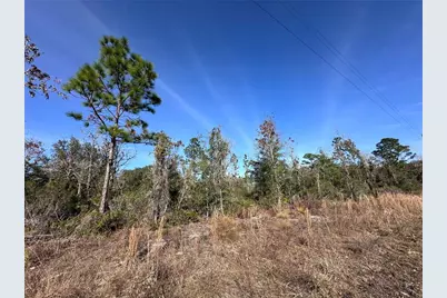 Tbd NE 117th Terrace, Williston, FL 32696 - Photo 1