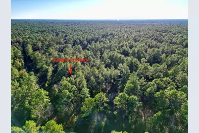 Tbd SW 155th Avenue, Ocala, FL 34481 - Photo 6