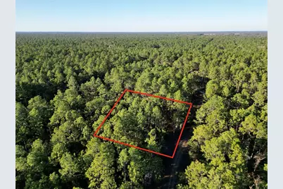 Tbd SW 155th Avenue, Ocala, FL 34481 - Photo 2