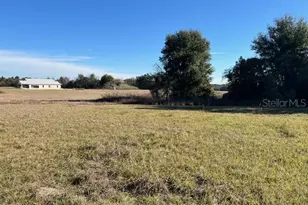 0 NW 95th St, Anthony, FL 32617 - Photo 1