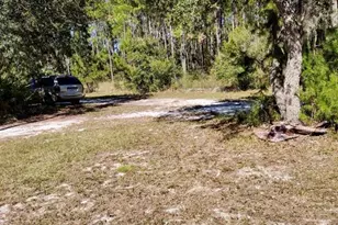 137 Franklin Ave, Pomona Park, FL 32181 - Photo 4