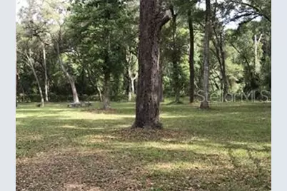 Tbd S Hwy 301, Webster, FL 33597 - Photo 2