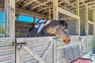 24454 Nova Ln, Punta Gorda, FL 33980 - Photo 20