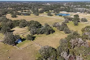 12853 NW 90th Ave, Reddick, FL 32686 - Photo 70