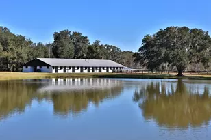 12853 NW 90th Ave, Reddick, FL 32686 - Photo 34