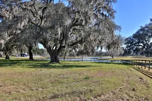 12853 NW 90th Ave, Reddick, FL 32686 - Photo 32