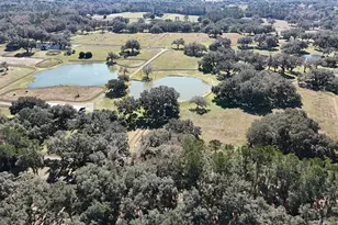 12853 NW 90th Ave, Reddick, FL 32686 - Photo 64