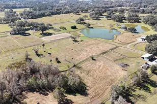 12853 NW 90th Ave, Reddick, FL 32686 - Photo 66