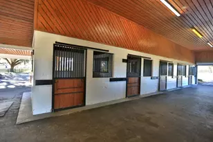 12853 NW 90th Ave, Reddick, FL 32686 - Photo 42