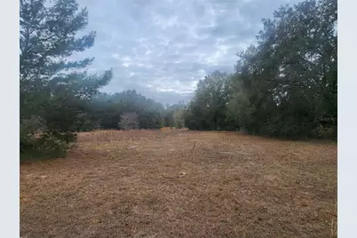 2407 Jackson Street, Inverness, FL 34453 - Photo 4