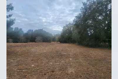 2407 Jackson Street, Inverness, FL 34453 - Photo 8