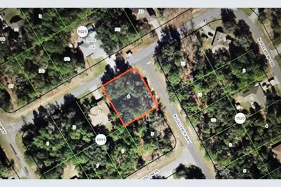 8170 N Hillview Circle, Citrus Springs, FL 34434 - Photo 2