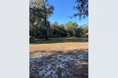 18600 NE 239th Court, Fort Mc Coy, FL 32134 - Photo 8