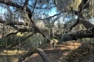 18607 SE 50th St, Ocklawaha, FL 32179 - Photo 10