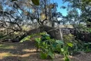 18607 SE 50th St, Ocklawaha, FL 32179 - Photo 8