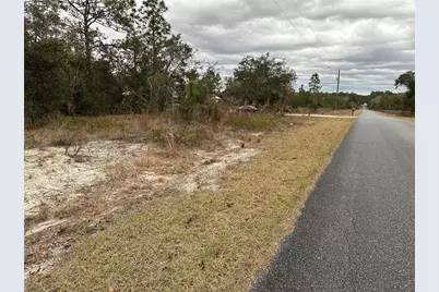Sw Obee Ridge Rd, Dunnellon, FL 34431 - Photo 4