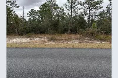 Sw Obee Ridge Rd, Dunnellon, FL 34431 - Photo 1