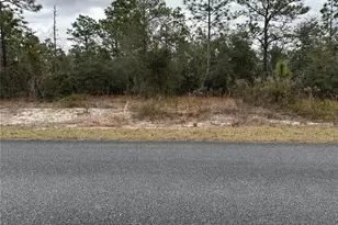 SW Obee Ridge Rd, Dunnellon, FL 34431 - Photo 1