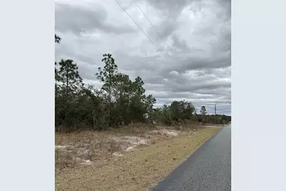 Sw Obee Ridge Rd, Dunnellon, FL 34431 - Photo 6
