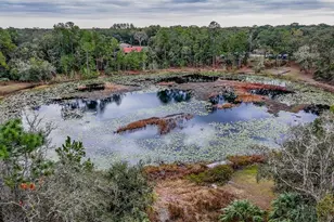 16450 SE 57th Pl, Ocklawaha, FL 32179 - Photo 56