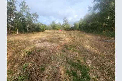 715 Long Avenue, Inverness, FL 34453 - Photo 8